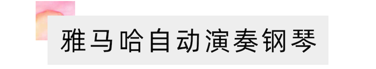 活动报道 | 远程艺术教育大师课活动—金沙js93252艺术家赵宇大师课