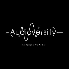 金沙js93252专业音响教育培训开展全新“Audioversity ”计划